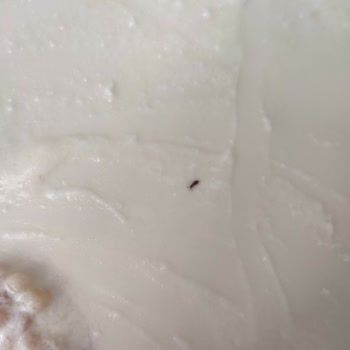 Nuh'un Ankara Makarnası Kuskus'tan Böcek Çıktı