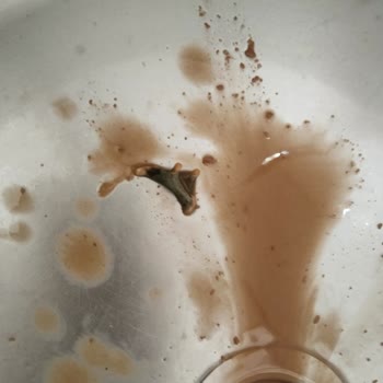 Danone Süt İçinden Çıkanlar