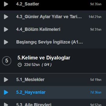 BTK Akademi Yeşil Tik Problemi