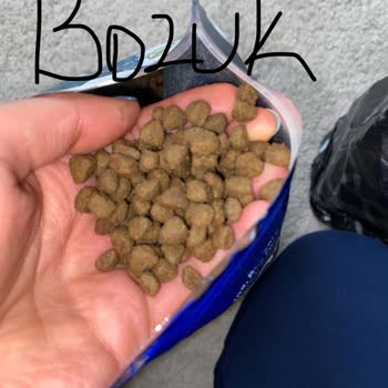Farmina Nd Ocean Kitten Bayat Ve Bozuk Ürün