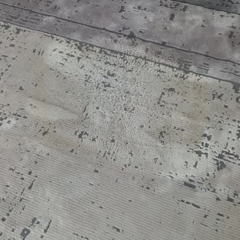 Festival Halı Festival Markalı Halıda Leke Sorunu Ve Müşteri Mağduriyeti