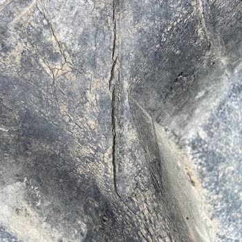 Petlas Lastik Traktör Lastiğim Neden Garanti Kapsamında Değil?