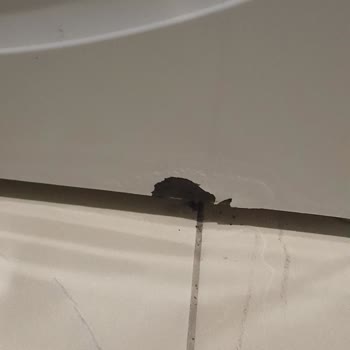 Bosch Çamaşır Makinesi Çürüme Sorunu