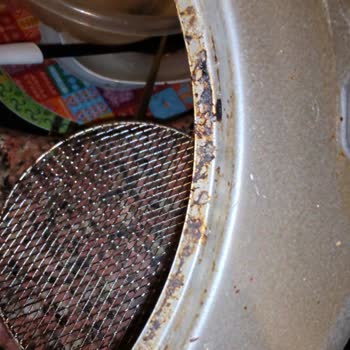 Philips Ev Aletleri Airfryer Temizlenemeyen Rezistans