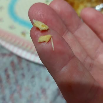 BİM'de Satılan Hastel Marka Künefeden Tahta Çıktı