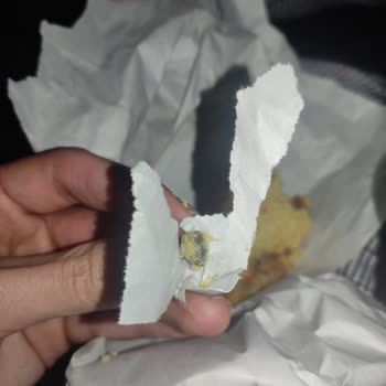 Migros Pasta İçinden Taş Çıkması