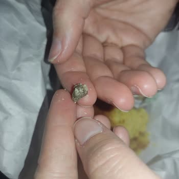 Migros Pasta İçinden Taş Çıkması