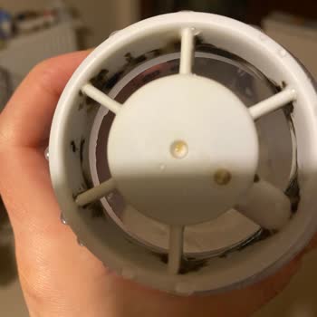 Tommee Tippee Biberon Kalitesizliği