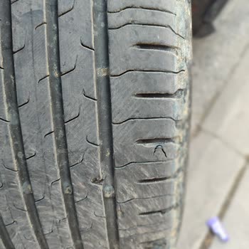 Continental Lastik Kopmaları Mevcut