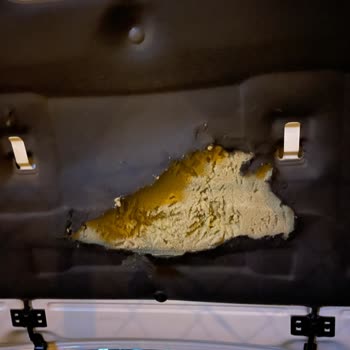 Renault Megane 4 Parçalarının Kemirgenler Tarafından Yenmesi