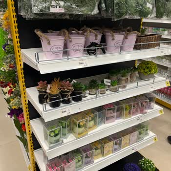 Mr. Dıy Yanlış Etiketler Ve Mağaza Sorumsuzluğu