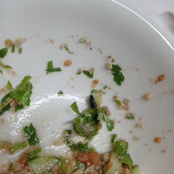 İskorpit Restoran Salatada Larva Çıktı