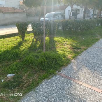 İzmir Bayraklı Belediyesi Park Ve Bahçeler Bakımsız