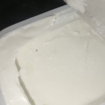 İçim Süzme Yoğurttan Çıkan Sinek