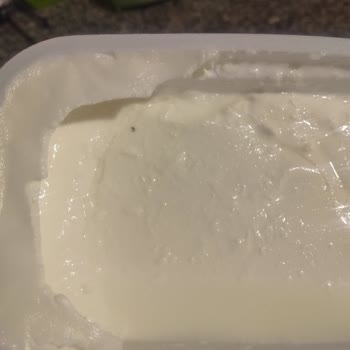 İçim Süzme Yoğurttan Çıkan Sinek