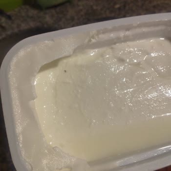 İçim Süzme Yoğurttan Çıkan Sinek