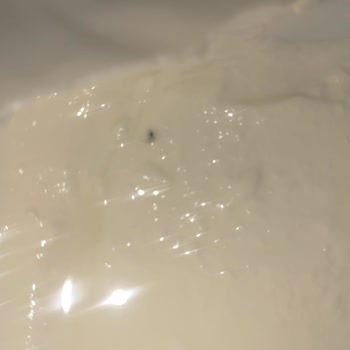 İçim Süzme Yoğurttan Çıkan Sinek