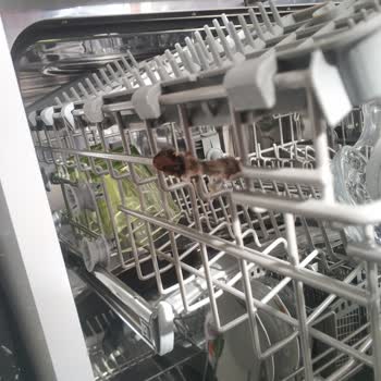 Samsung DW-60H3010FW Sepet Paslanma Sorunu