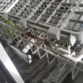 Samsung DW-60H3010FW Sepet Paslanma Sorunu