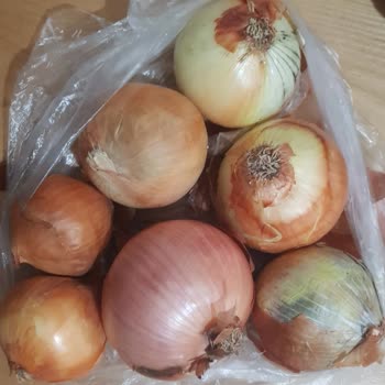 Migros Hemen Yine Bozuk Ürün
