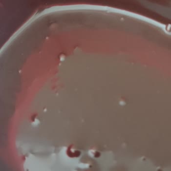 Seyidoğlu Gıda Seyidoğlu Boool Fındık Krema Kakaolu