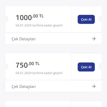 Sodexo Braunshop Parçalı Çek Kullanma Sorunu