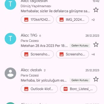 Martıtag, İlgili Birimlerin İlgisizliği