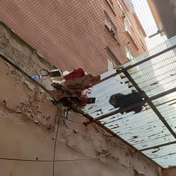 Güngören Belediyesi Bahçe Katına Yapılan Zulüm