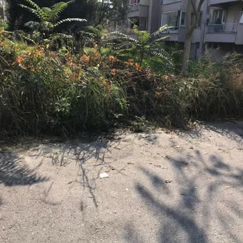 Adapazarı Belediyesi Tekeler Mahallesi 1063 Sokak Sakinleri Adına