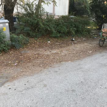 Adapazarı Belediyesi Tekeler Mahallesi 1063 Sokak Sakinleri Adına