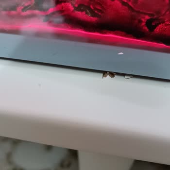 HYS Avm HYS Marka Ürün Şikayeti