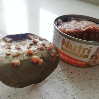 Nutri Pet Foods Konserve Mamada Kemik