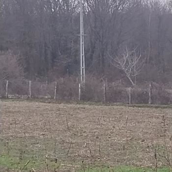 YEDAŞ Para Boşa Gidiyor