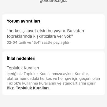 TikTok Türkiye Düşmanlığından Vazgeç
