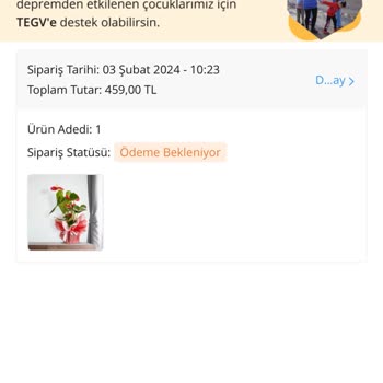Çiçek Sepeti Parayı Alıyor Ama Ödeme Yapılmadı Olarak Gösteriyor