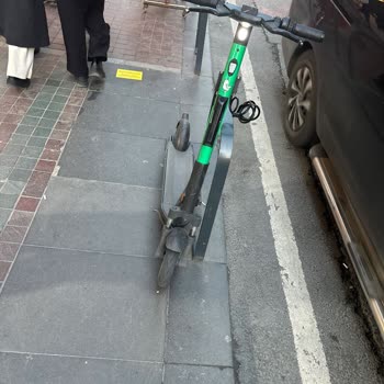 Martı'nın Yaptığı Haksız Çekim