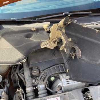 Peugeot 2008 1.2 Puretech Eat8 Kalitesiz Kaput İzolasyon Malzemesi