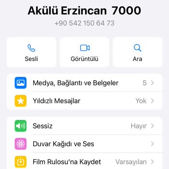 Letgo Mercedes Akülü Araç