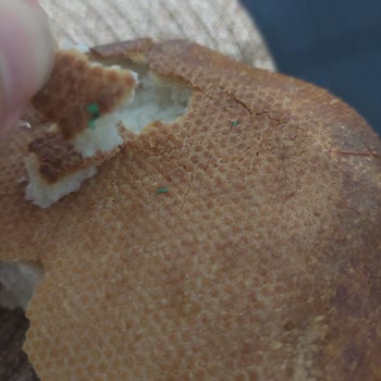 La Lorraine Tombul Ekmek Plastik Madde