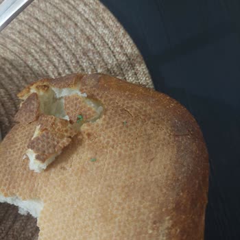 La Lorraine Tombul Ekmek Plastik Madde