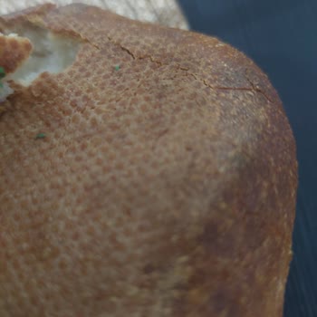 La Lorraine Tombul Ekmek Plastik Madde