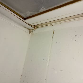 Bianca Boya Bianca Stella Boyayla Banyo