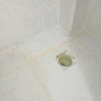 Bianca Boya Bianca Stella Boyayla Banyo