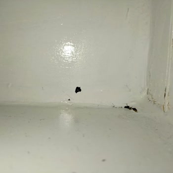 Bianca Boya Bianca Stella Boyayla Banyo