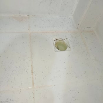 Bianca Boya Bianca Stella Boyayla Banyo