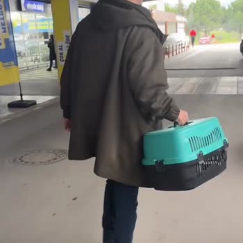 Metro Grossmarket Evcil Hayvanı Box İçinde Kabul Etmedi