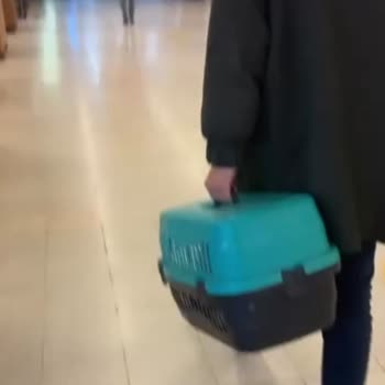 Metro Grossmarket Evcil Hayvanı Box İçinde Kabul Etmedi