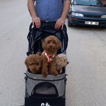 Vega Outlet Eskişehir Patili Dostlarımızı Sevelim