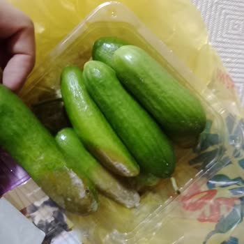 Şok Market Eyüp Narin Şubesi 108 Numaralı