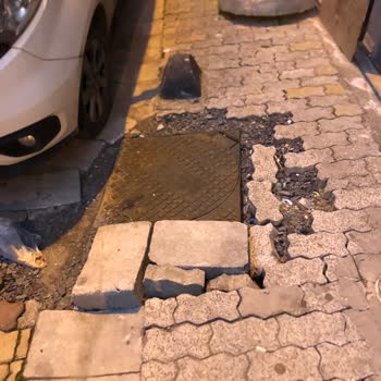 Küçükçekmece Belediyesi Kaldırımda Sessiz Sakin Duran Bir Ağaç